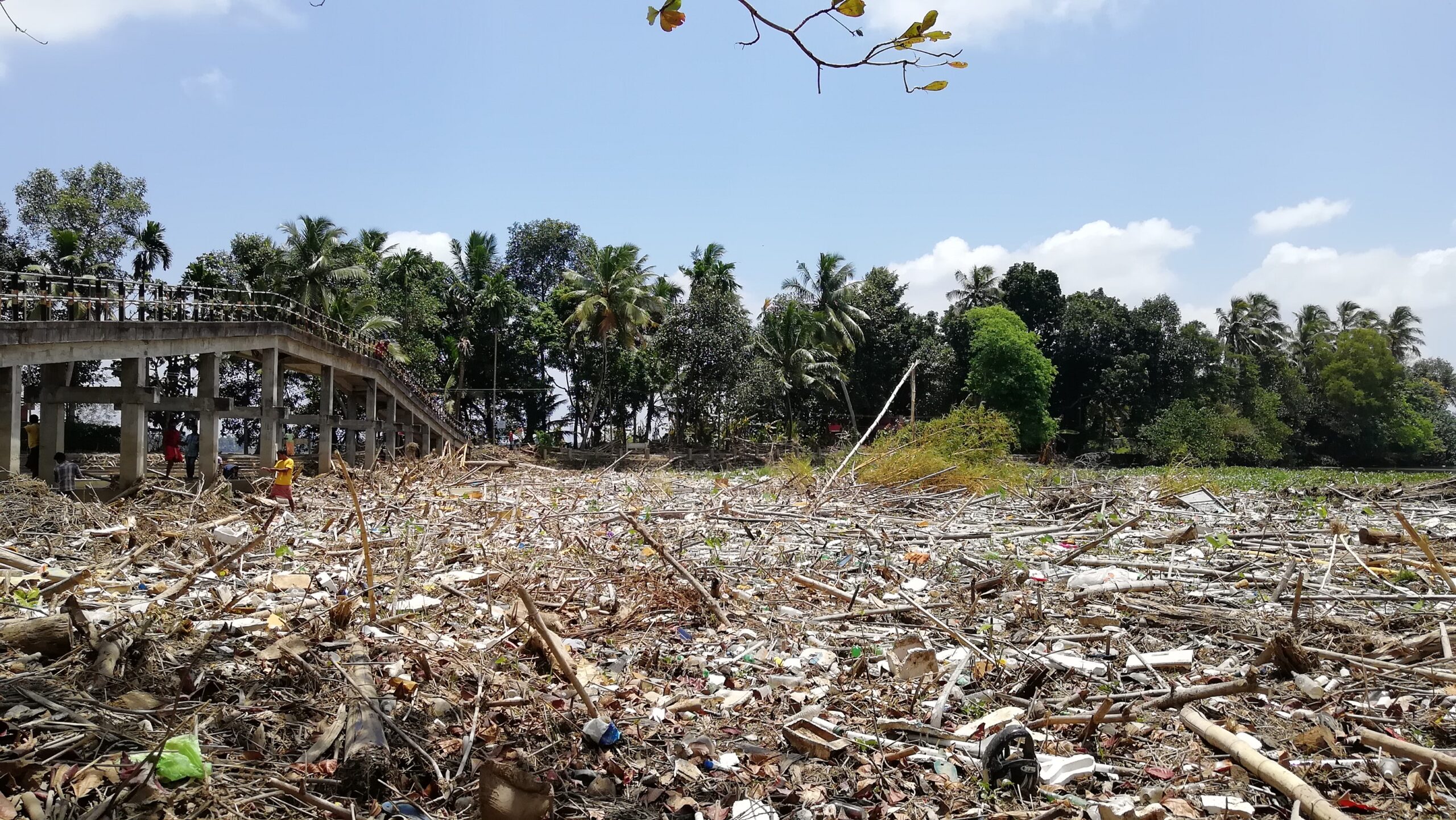 പാലം കടന്നത് ജീവിതത്തിലേക്കായിരുന്നു